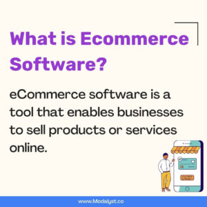 What is ecommerce software